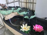成都花隅青年旅舍 - 花园