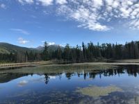 喀纳斯湖途梦居客栈 - 酒店附近