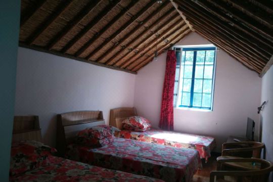 北京金海湖紫藤花开湖边小屋