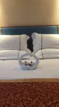 Super 8 Hotel (Baoding Xiong'an New District Rongcheng Center)