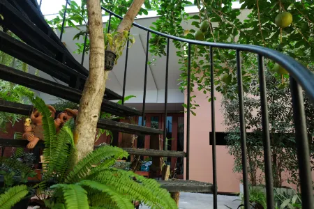 The White Elephant Home