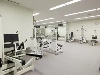 Hotel East 21 Tokyo - Gym