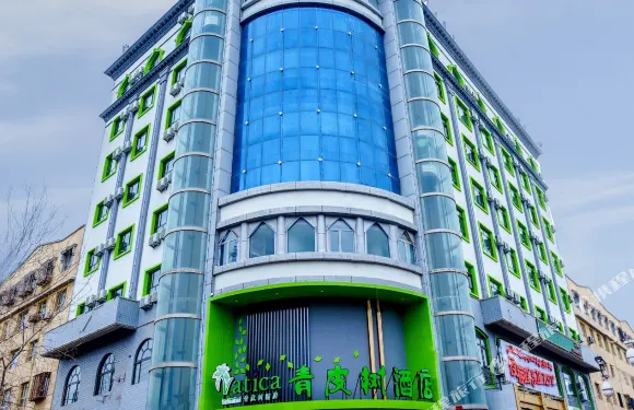 青皮樹酒店（喀什古城景區店）