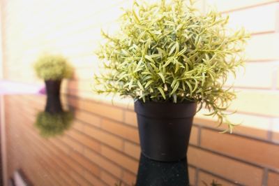 その他 新宿 Sky Capsuleの写真