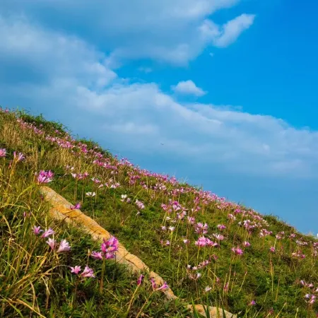 Shengshan Island Lejia Hostel
