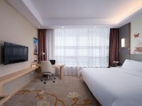 维也纳国际酒店(安庆高铁站店) - 特价大床房