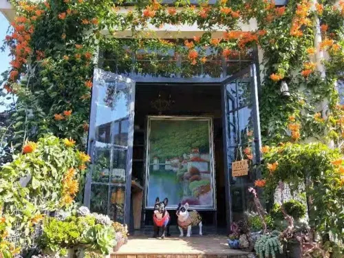 Huying Inn Fuxian Lake Hotels in Huaning