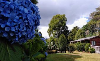 Karangahake Gold 'n Views Cottage