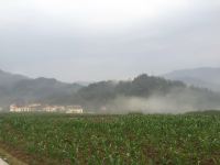 汶川山野闲居农家院 - 酒店附近