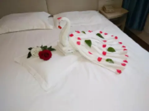 Ginza Grace Inn Hotel (Linyi Yinqueshan Road)