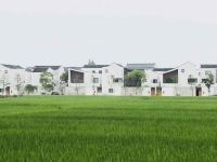 杭州东梓关相识许苑民宿 - 舒心阳光大床房