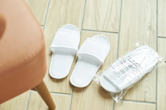 โซเทตสึ เฟรซาอินน์ โอซาก้า-นัมบะ