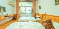 Wuyuan Shicheng Tongyuan boutique B & B - Basis Kamer Met 2 Bedden