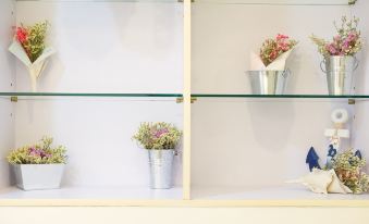 Humanities Book Homestay