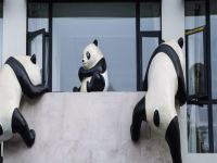 雅安三只熊猫主题酒店 - 其他