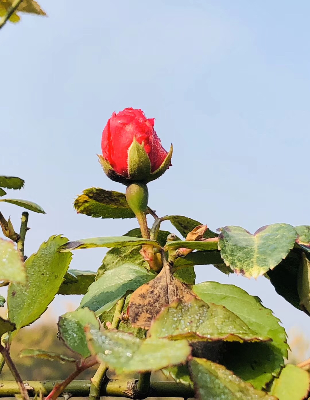Yujingtai Hot Spring Hotel Over view