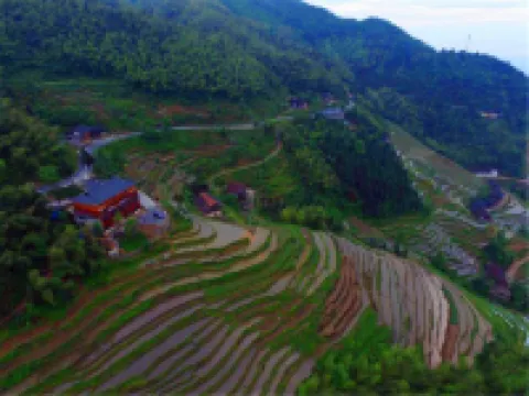 Ziquejie Zhuofan Home Homestay
