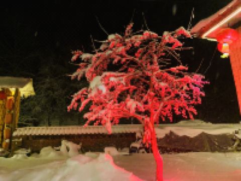 雪谷柳二家庭旅馆 - 花园