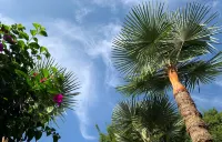 Tengchong Alsophila Slow Manor Hotel in zona Re Lake SPA Scenic Spot