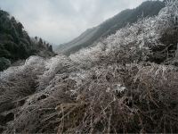 衡山竹海山庄 - 酒店附近