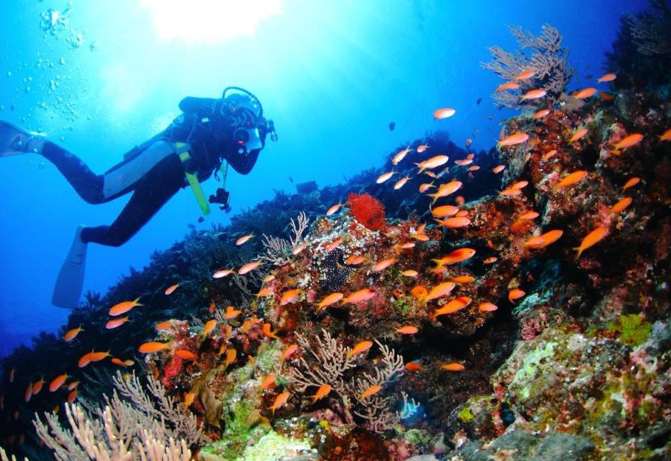 2. 파인 힐스 호텔..