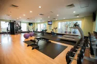 Citymax Hotel Al Barsha at the Mall - Gym