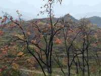 Floral Hotel·Jingshui Shanju hotel (Yesanpo Bailixia Scenic Area) - วิวภูเขา