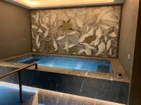 Wanda Vista Changchun - spa