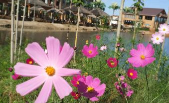 Cloud Hot Spring Hotel