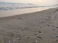 Baisite Van Gogh Sea Resort Meisu Hotel (Shanwei Poly Jinxuanwan Branch) Hotels in Shanwei