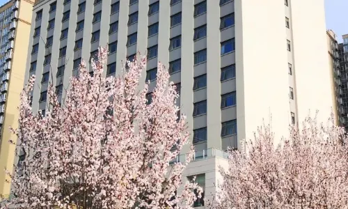 Phoenix International Hotel
