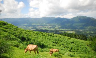 Aso Farm Land