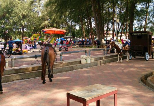 4. TSR 시프런트..