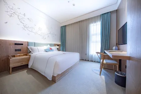 Leader Art Hotel