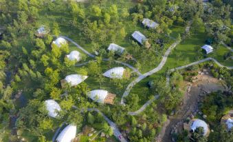 Neoroll Glamping