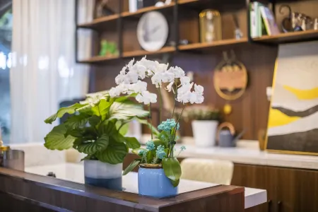 Dayin Qishi Homestay