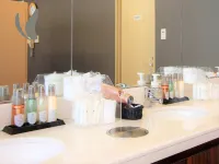 Almont Hotel Naha Omoromachi - spa
