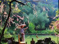 酉阳青艾文宿柒号院 - 酒店附近