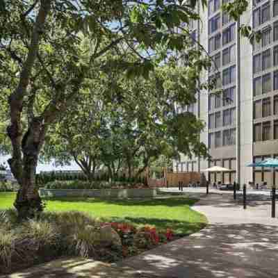 ラディソン ブル バンクーバー エアポート  ホテル & マリーナ Rooms