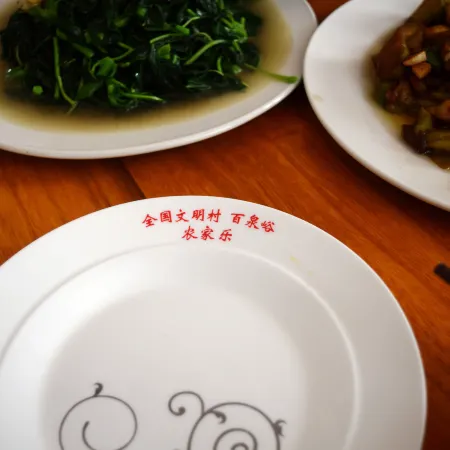 Mengyin Fuquan Mountain Villa Farmhouse