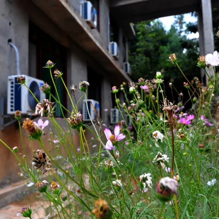 Congjiang Jiabang Terracing Wanlongzhuang Guesthouse