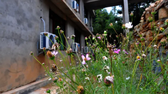 Congjiang Jiabang Terracing Wanlongzhuang Guesthouse