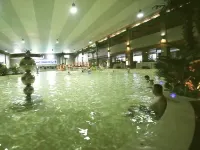 Tianxing Hot Spring Business Hotel - Pools