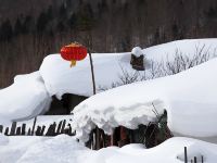 雪乡二浪河蒋春霞家庭旅馆 - 酒店附近