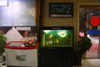 Yanggu Mingzhu Business Express Hotel