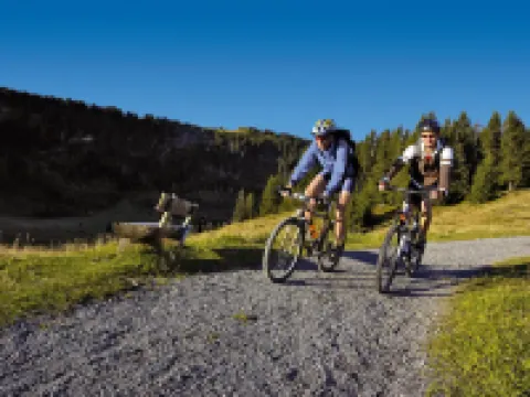 Hotel Tamina バートラガツのホテル