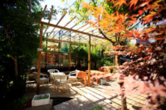 Lijiang Shuhe K2 International Youth Hotle