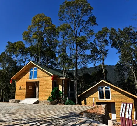 Yinxin'gu Treehouse Hotel