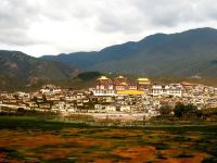 香格里拉都吉呢咪藏文化主题酒店 - 酒店景观