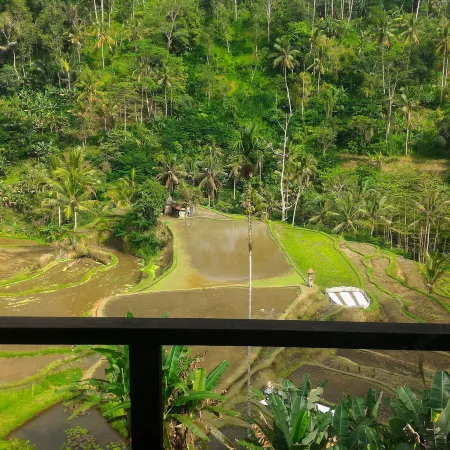 Suarapura Resort & Spa